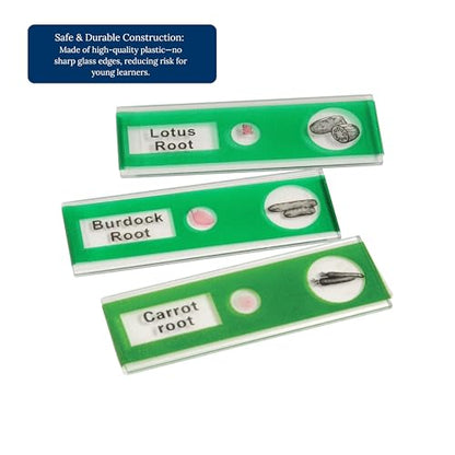 Prepared Microscope Slides for Kids – 24 Plastic Plant & Vegetable Specimens with Labels & Images – Safe, Durable Biology Science Kit for Students Ages 8+ - size: Plant & Vegetable -24 pc