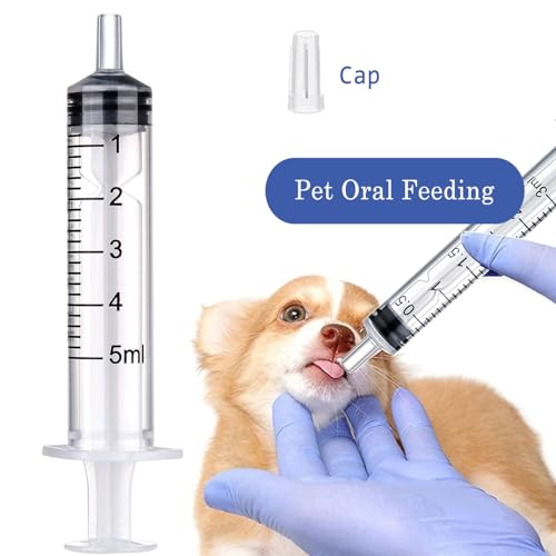 5ml Syringe for Liquid,Syringe Without Needle,Sterile Individually Packed 20pcs. - size: 5ml-20pcs