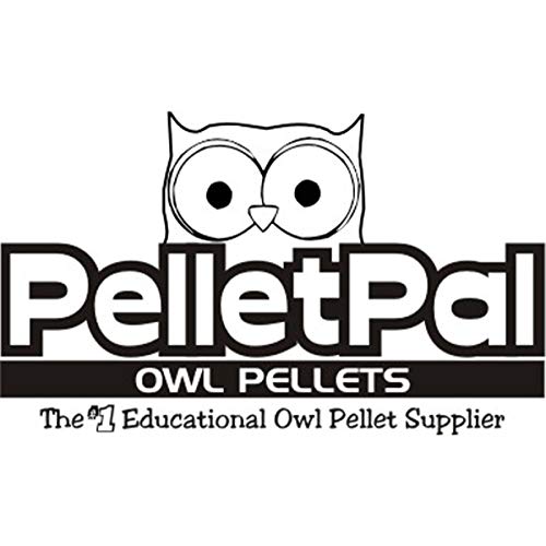 PelletPal Premium Barn Owl Pellets, Large (Pack of 10) - Free Bone ID Chart, 10 Forceps, 10 Paddle Picks, and Teaching Guide Included!