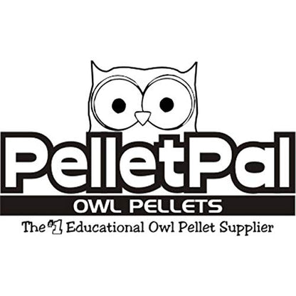 PelletPal Premium Barn Owl Pellets, Large (Pack of 10) - Free Bone ID Chart, 10 Forceps, 10 Paddle Picks, and Teaching Guide Included!
