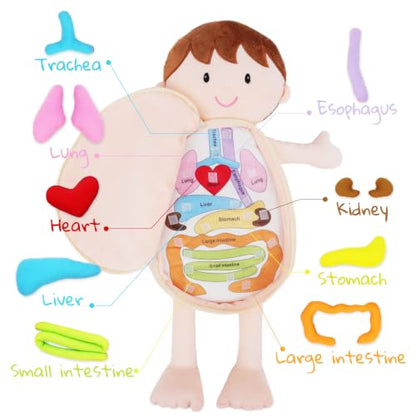 June Garden 18" Lucas Plush Anatomy Doll with Removable Organs - color: Little Patient Lucas
