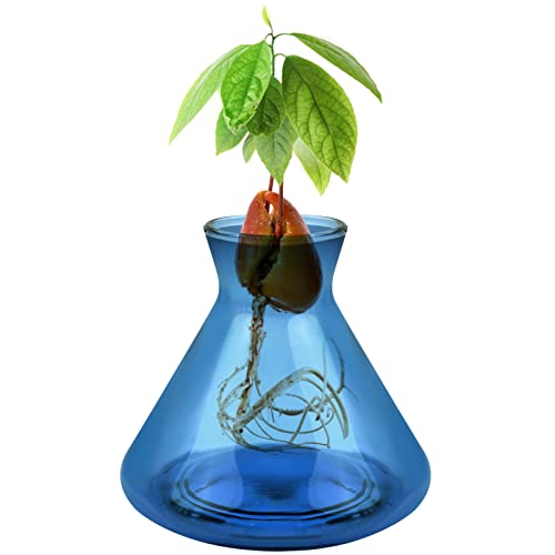 1 PCS Avocado Seed Starter Vases, Avocado Tree Growing Kit Acorn Bulb Vase Grow Glass Avocados Pit Planter Pot Blue Hydroponics Container for Gardening Lover - color: Blue-1pcs, size: 1.96*4.1*3.7inch