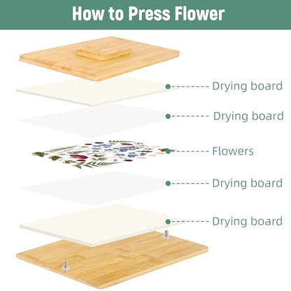 Dmnnlp Large Wooden Flower Press Kit 14.2" x 8" - Dried Flowers Plant Press for Kids & Adults, Great Gift for DIY Flowers Lovers, Craft Enthusiasts