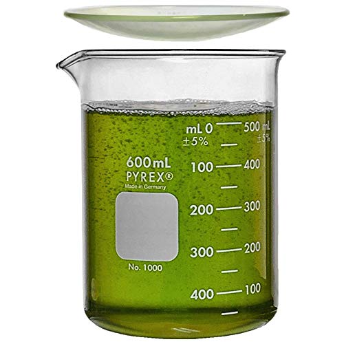 Corning Pyrex 1000-600, 600ml Low Form Griffin Beaker with Pyrex 9985-100, 100mm Watch Glass (Single) - size: Single, style: Watch Glass