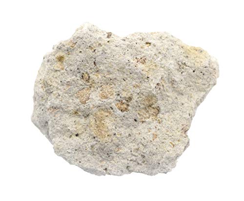 EISCO 12PK Raw Volcanic Tuff, Igneous Rock Specimens - Approx. 1" Geologist Selected & Hand Processed Great for Science Classrooms Class Pack- Eisco Labs