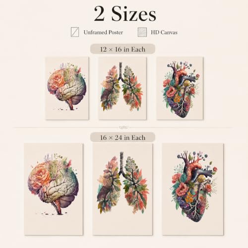 XCDVVAW 3Pcs Floral Anatomy Poster Wall Art Canvas Print Viscera Organs Heart Lungs Brain Painting Picture Wall Decor for Office Physician Doctor Nurse Gifts for Medical Clinic Hospital 16x24in - color: Flowers organs B, size: 24"L x 16"W