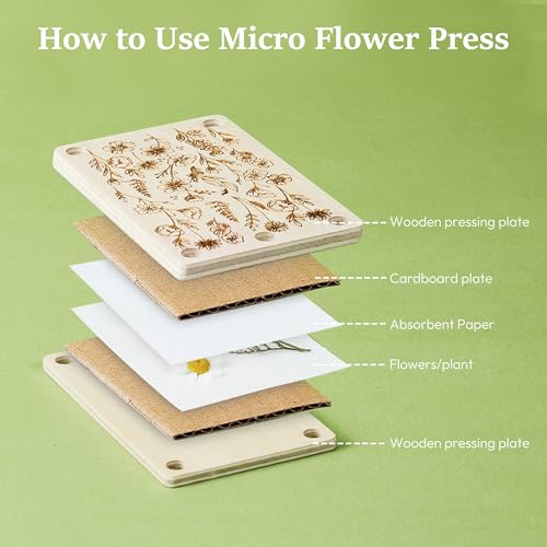 Aboofx Mini Flower Press Kit 2.5x4 Inch, Pocket Pressed for Small Flowers - color: rectangle