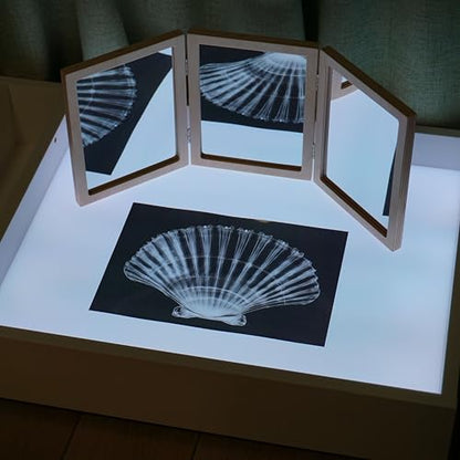 Animal X-Ray Set, Educational Science Kit, Light Table Accessory for Children (Sea Animals) - style: Sea Animals
