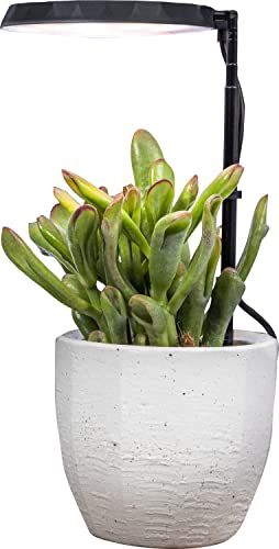 AeroGarden Stem Grow Light for Indoor Plants, Black - color: Black