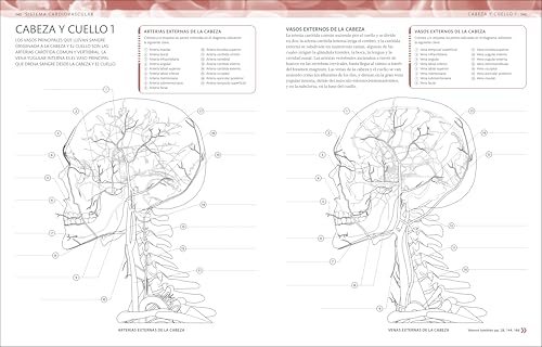 Atlas de anatomía para colorear (The Human Body Coloring Book): Guía de estudio (Spanish Edition)
