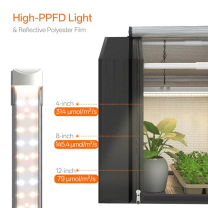 Bstrip Small Greenhouse, GM3 Indoor Greenhouse with Grow Light, Auto Timer