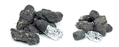 hand2mind Large Barn Owl Pellets, Set of 50