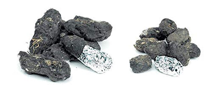 hand2mind Large Barn Owl Pellets, Set of 50