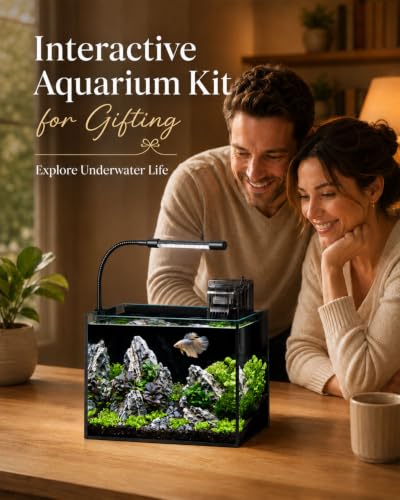 2.5 Gallon Nano Aquarium Starter Kit, Rimless Glass Fish Tank Kit - color: Black, size: 2.5 Gallon