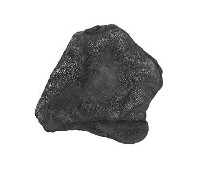 EISCO 12PK Raw Anthracite Coal, Metamorphic Rock Specimens - Approx. 1" - Geologist Selected & Hand Processed - Great for Science Classrooms - Class Pack