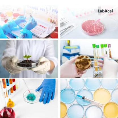 50 Pack Small Petri Dishes with Lids 55x15 mm Clear Plastic Dishes Vented Transparent Polystyrene Sample Containers for Classroom Educational Activities and General Laboratory Use