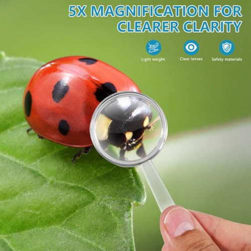 OBTANIM 20 Pack Mini Plastic Handheld Magnifying Glasses Portable Reading Magnifier for Senior and Kids, Hand Lens 5X Magnifier for Home, Indoor and Outdoor Use - size: 20 Count (Pack of 1)