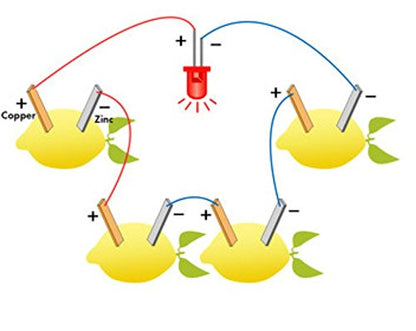 Fruit Battery Light Diode Science Kit Orange Potato Lemon Battery Physics Teaching Experiment