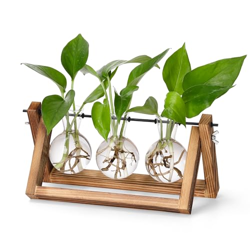 YIBOT Plant Propagation Stations with Wooden Stand & 3 Glass Bulb Vases - size: 3Bulb-A