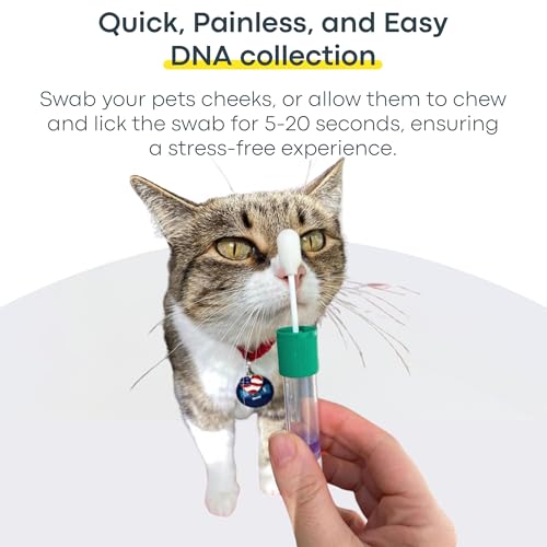 Basepaws Cat DNA Test Kit, Breed, Health & Dental Insights, 114 DNA Traits - size: 1 Count (Pack of 1)