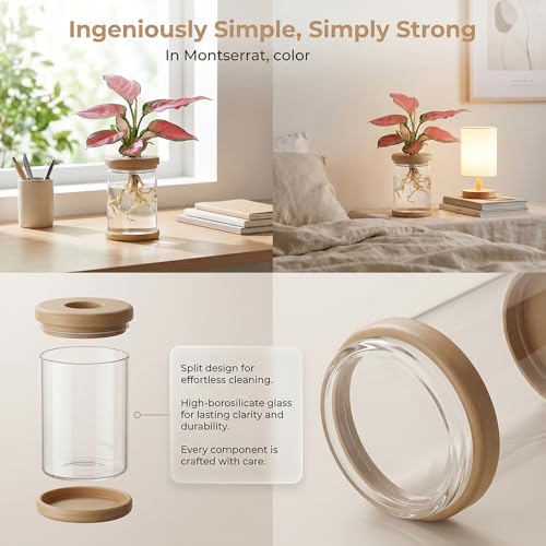 Propagation Stations,Plants Propagation Station Desktop Plant Terrarium Glass Hydroponic Vases, Water Plant Jars, Gardening for Women Mom Plant Lovers,1Pcs