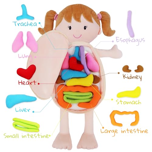 June Garden 18" Emily Plush Anatomy Doll with Removable Organs - color: Little Patient Emily