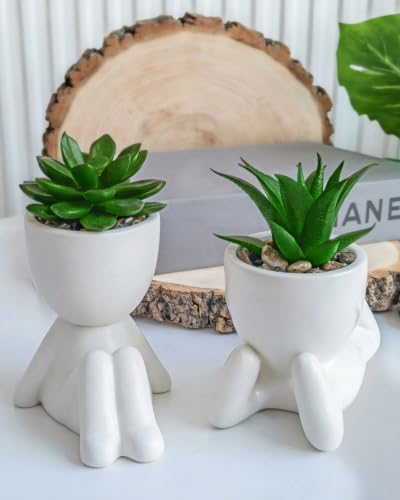 Small Fake Plant Office Decor for Women - Desk Decorations - Cute Office Decor - Office Plants Decor for Wall Shelf - Succulents Fake Plants Home Decor - Office Desk Accessories - size: (C ) White with green