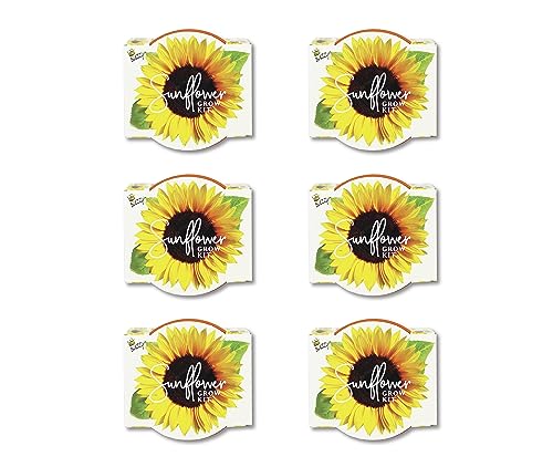 BUZZY Seeds Sunflower Grow Kit 6-Pack, Mini Terracotta Pots, Indoor Garden - color: 6pk Sunflower