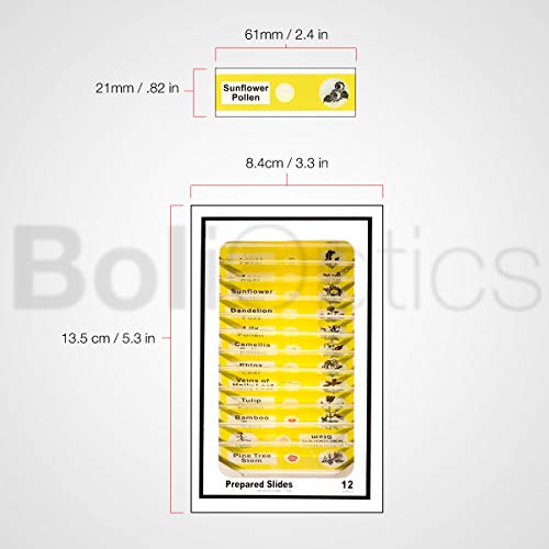 BoliOptics 12 Pcs Kids Plastic Prepared Microscope Slides Plants Sample Biology Botanical Specimen Set for Students Hobbyists Beginners Kids Homeschool, SL39901011