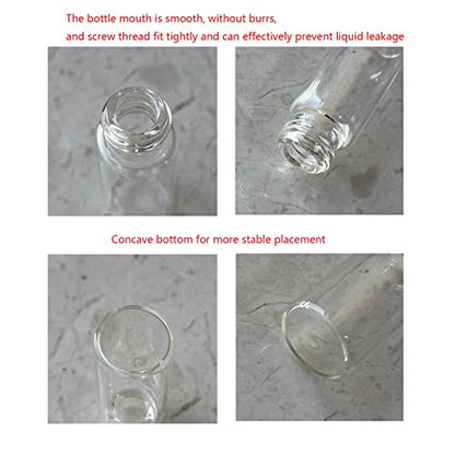12PCS 7ml Clear Glass Small Vials with Screw Caps & Plastic Stoppers - size: 7ml