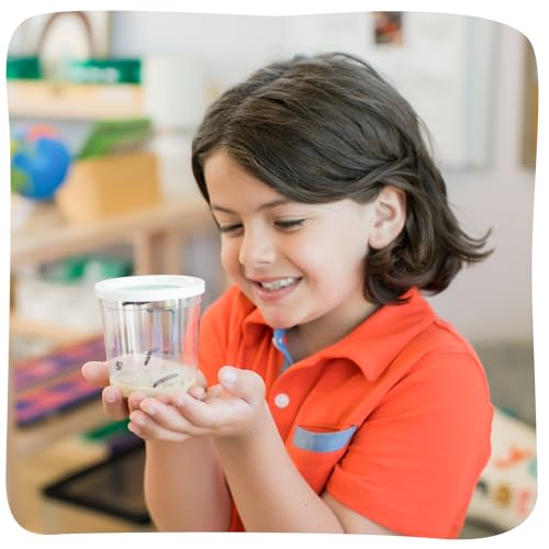 Insect Lore 40 Live Baby Painted Lady Caterpillars | 8 Cups of Caterpillars Basic, 5 Per Cup - Refill for Butterfly Kit | Caterpillars and Food Included - style: 8 Cups Basic