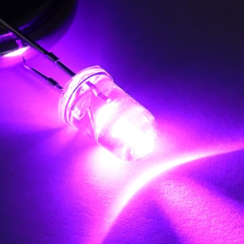 EBOOT 100 Pcs Clear Light Emitting Diodes Bulbs LED Lamp,5mm,Purple - color: Purple