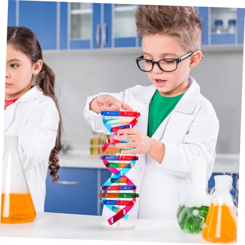 Kisangel DNA Kit Self Double Helix Model Kit Assembling DNA Display Stand Human Genes Learning Toy Biological Teaching Aid Science Molecular Model Kit