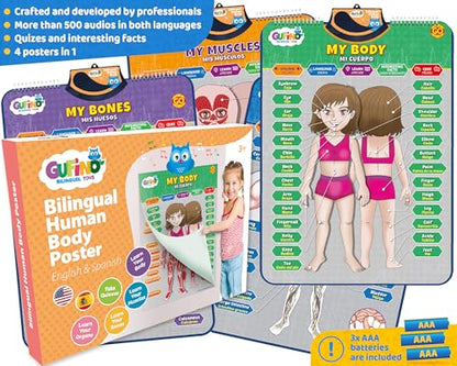 Bilingual Human Body Model for Kids - Interactive Human Anatomy Poster - color: Human Body