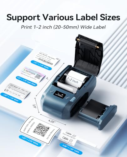 NIIMBOT M2 300 DPI Thermal Transfer Label Maker, Blue