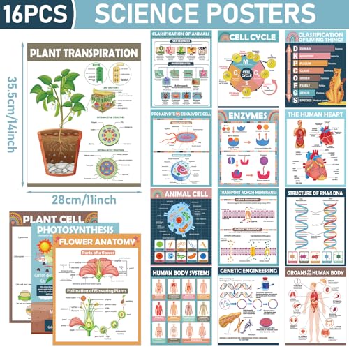 16Pcs Boho Science Posters Classroom Supplies Life Science Biology Poster for Classroom High School Education Biology Life Science Charts for Teachers Office School Education Bulletin Board Wall Decor - color: Boho