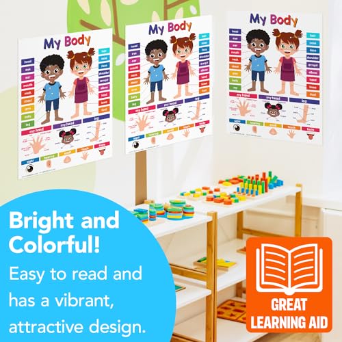FoldCard My Body Chart Educational Poster 8.5x11 5pk - color: My Body