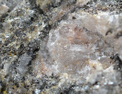 EISCO Augen Gneiss Specimen (Metamorphic Rock), Approx. 1" (3cm), Science Classroom Specimen, Rock Sample, Kid, None
