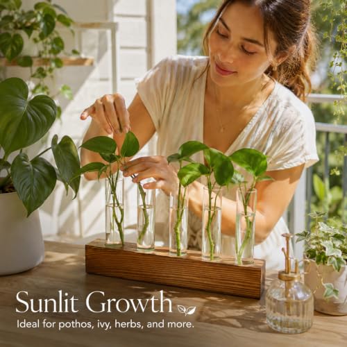 Renmxj Plant Propagation Station, Plant Terrarium with Wooden Stand - size: 5 Test Tube