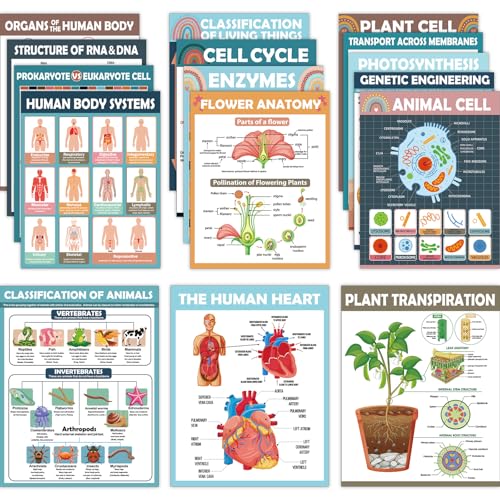 Yiaoyinnz 16Pcs Boho Biology Science Posters for Classroom - color: boho