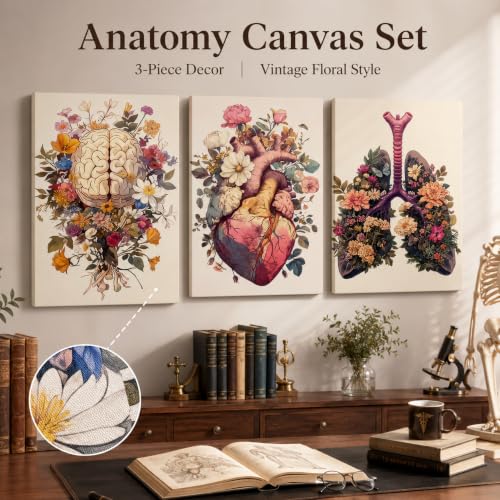Medical Human Anatomy Poster Wall Art Vintage Floral Heart Painting Picture Wall Decor Colorful Heart Lungs Brain Aesthetic Canvas Print Artwork for Doctor Nurse Office Clinic Hospital Decoration - color: Flowers organs A, size: 16"L x 12"W