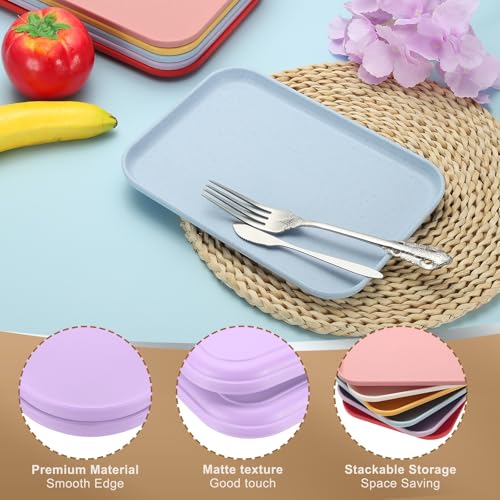 PATIKIL 7.9x5.9 Plastic Tray, 2 Pack Rectangular Plates Small Food Tray Wheat Plates Dishes Reusable Dessert Plate Trays with Cloth for Cake Fruits Salad Cupcake Steak Serving Purple - color: Purple, size: "xS(7.9"x5.9")