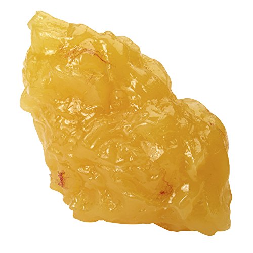 Nasco WA14533 Human Body Fat Replica, 1 lb.
