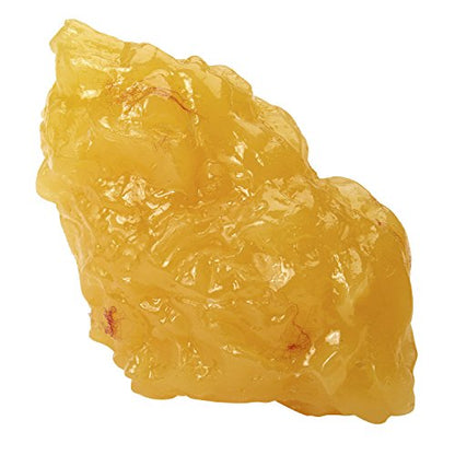 Nasco WA14533 Human Body Fat Replica, 1 lb.