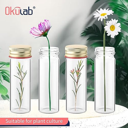 20 PCS 25ML Clear Clear Glass Test Tubes with Screw Caps, 28mm Diameter x 85mm Length Glass Test Tube for Scientific Plants, TTG25B20 - style: 20PCS of 28x85mm (25ml)