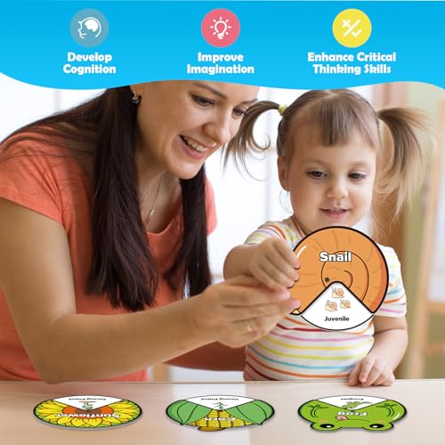 Kasfalci Life Cycle Toys for Kids,Back to School Supplies,Animal Plant Insect Bug Ladybug Butterfly Tadpole to Frog Kit,Montessori Learning & Education Toys,Preschool Science Learning Activities - style: Life Cycle