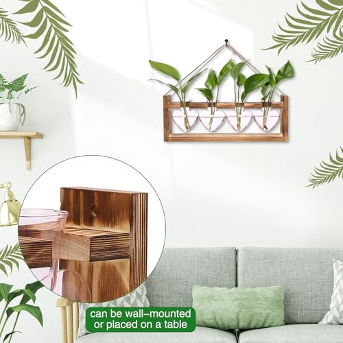 Plant Propagation Stations Heart Plant Terrarium Kit - color: Pink