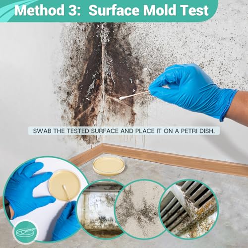 Mold Test Kit for Home Detection: 4 Simple DIY Science Kits for Fastly Testing Home Surfaces & Air Quality Detector & HVAC Monitor Includes Detailed Identification Guide