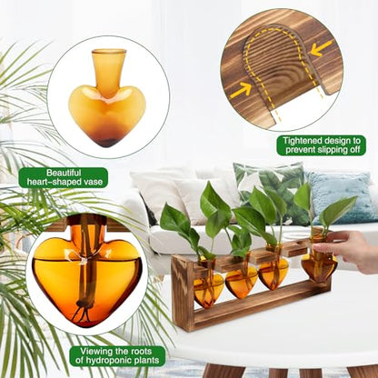Plant Propagation Stations Heart Plant Terrarium Kit - color: Amber