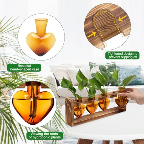 Plant Propagation Stations Heart Plant Terrarium Kit - color: Amber
